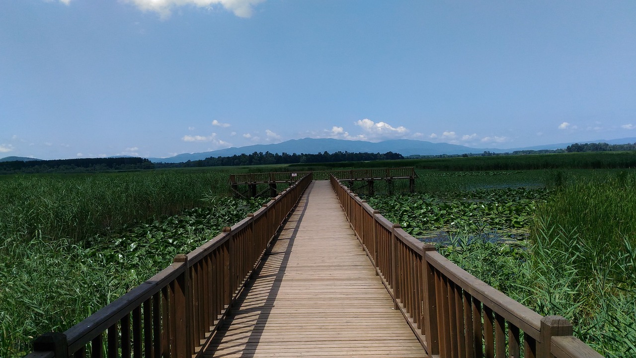 Düzce Turizmine Yeni Bir Soluk: Üçgöller Projesi