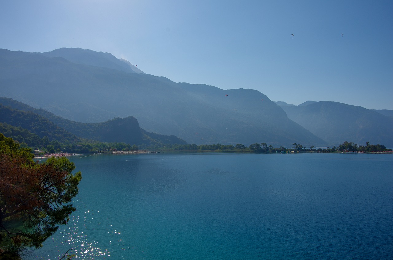 Muğla Orman Yangınında Hızlı Müdahale ile Facia Önlenmiş Oldu