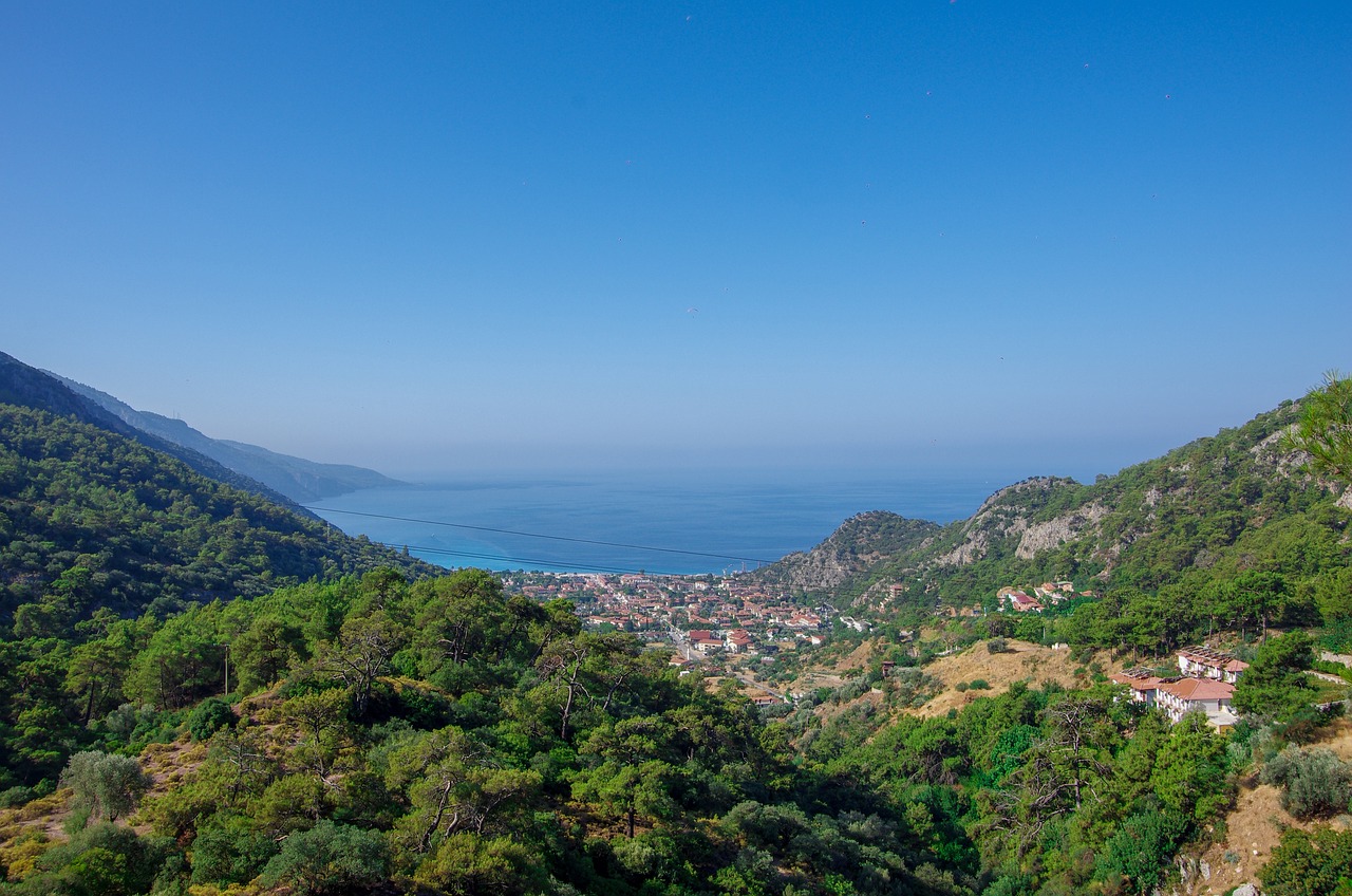 Muğla Orman Yangınında Hızlı Müdahale ile Facia Önlenmiş Oldu