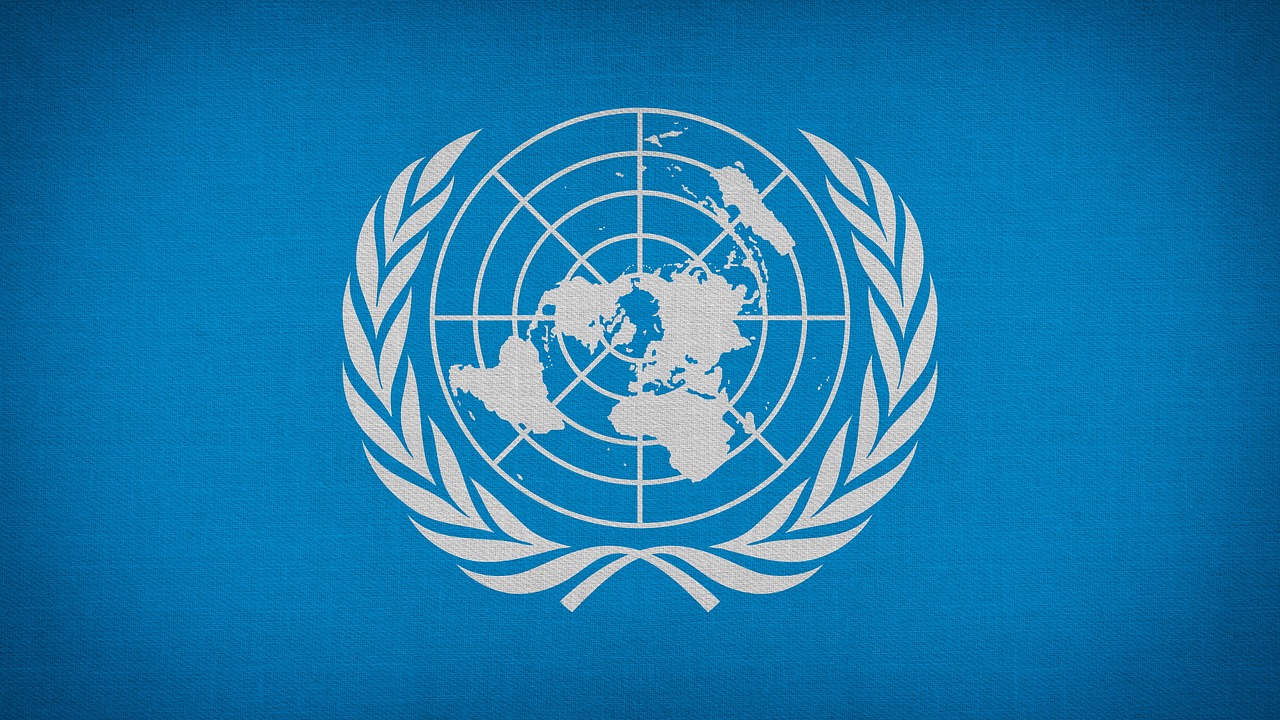 BM Sağlık Hakkı Özel Raportörü Gazze Değerlendirmesi