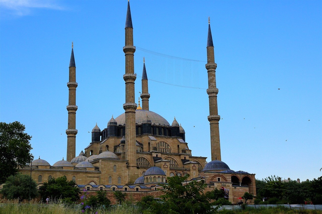 Edirne'de Yasa Dışı Göçmen Yakalaması