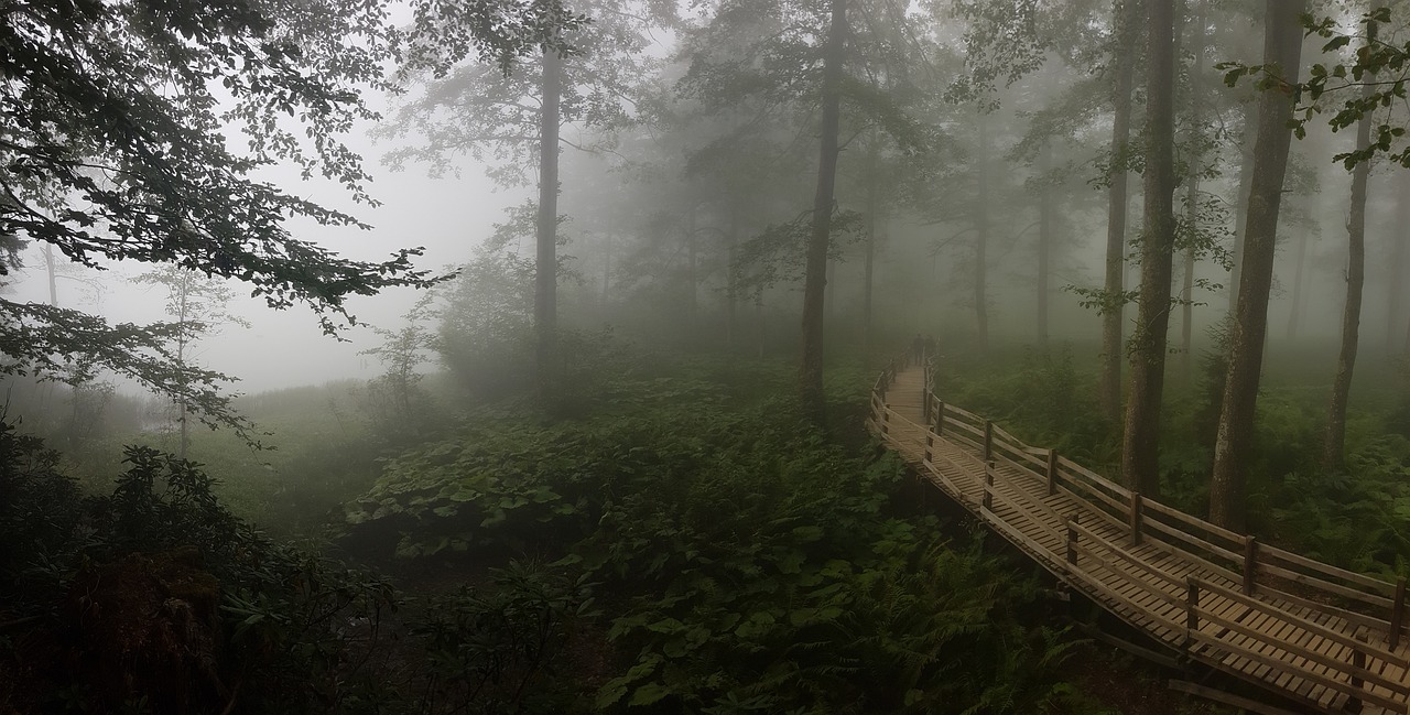 Hopa'da Yol Kapatan Heyelan Olayı