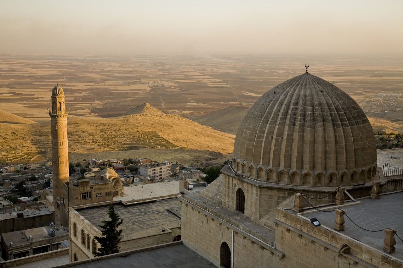 Mardin'de Çıkan Yangınlar