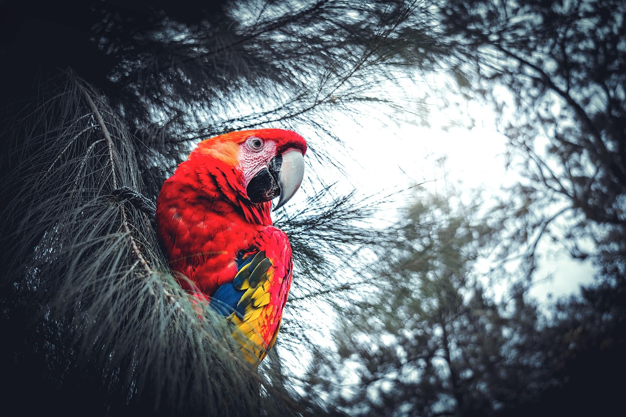 Ermenistan Ateşkesi İhlal Etti