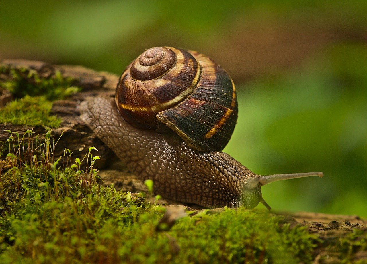 Exciting Discovery in Bulgaria