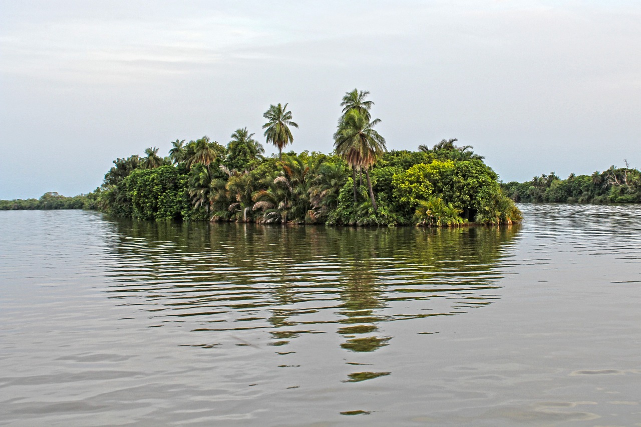 Gambia Reverses Decision on Female Genital Cutting Ban