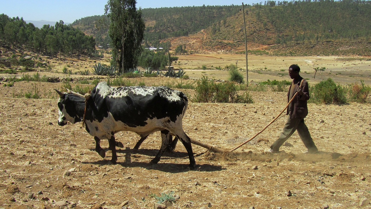 Southwestern Ethiopia Landslide Tragedy