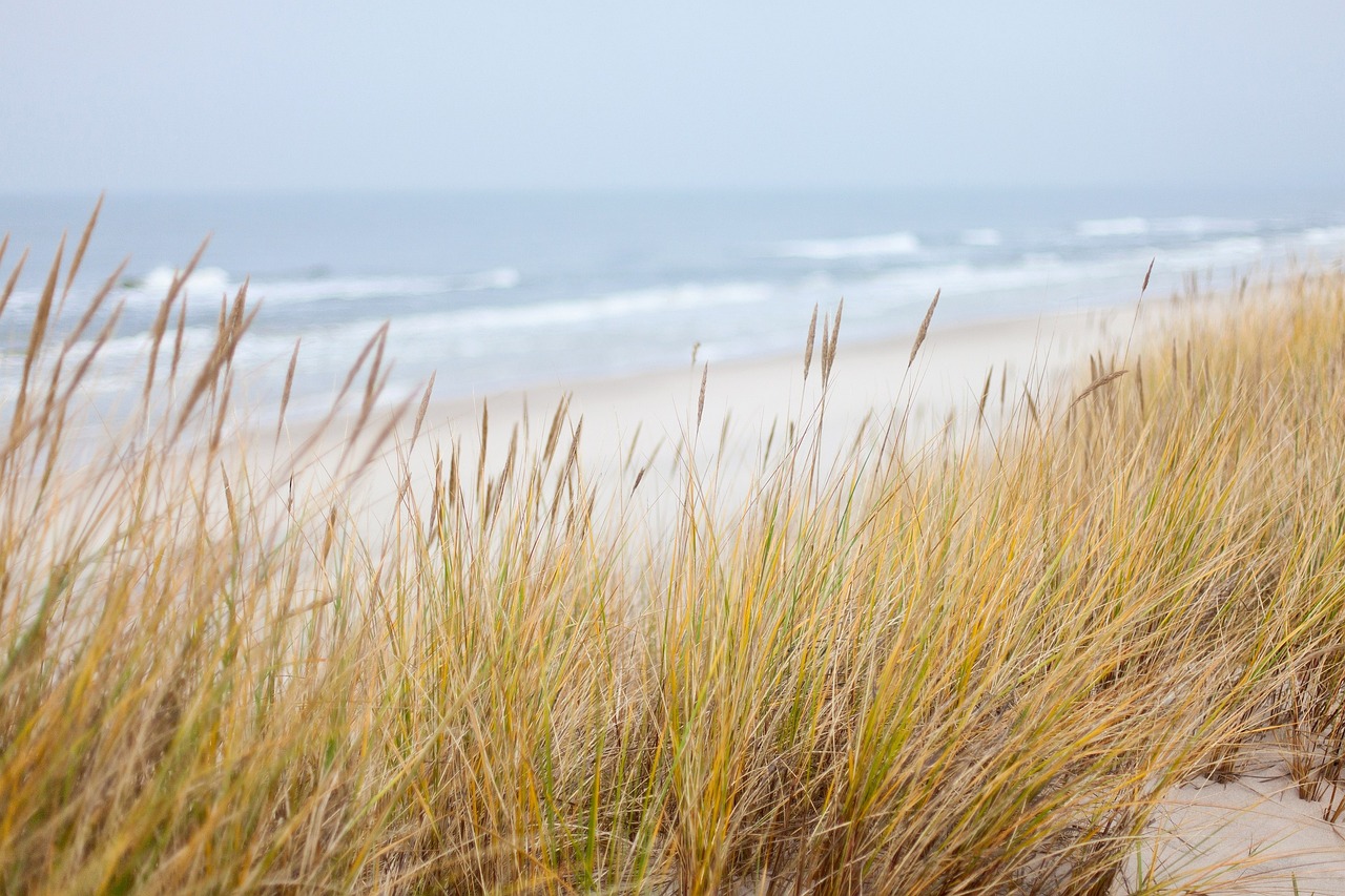 The Hidden Treasures of the Baltic Sea