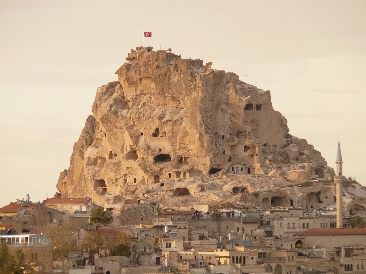 Gerçek Ailesini Bulmak İçin Mücadele Etti