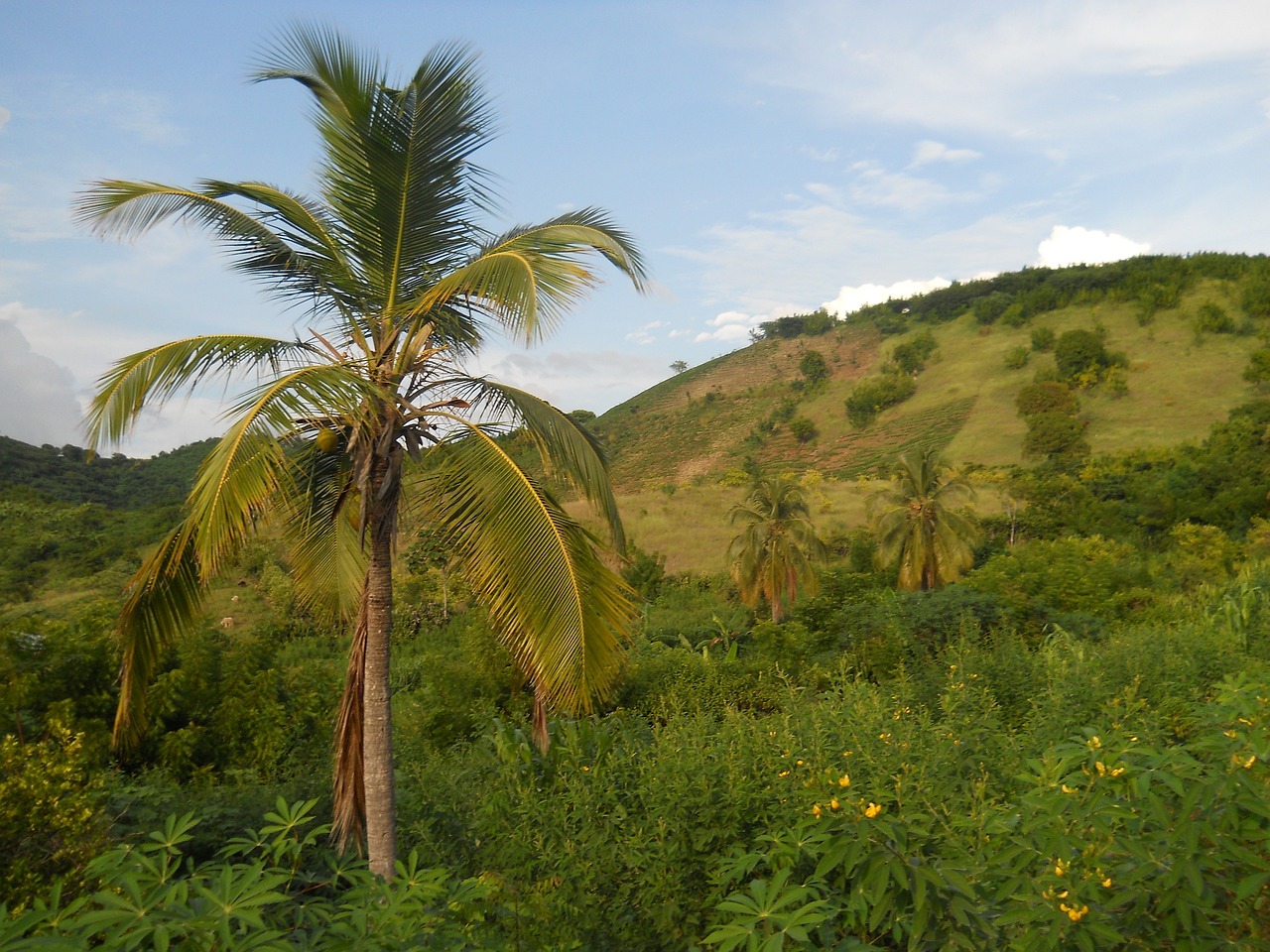 Haiti's Ongoing Challenges