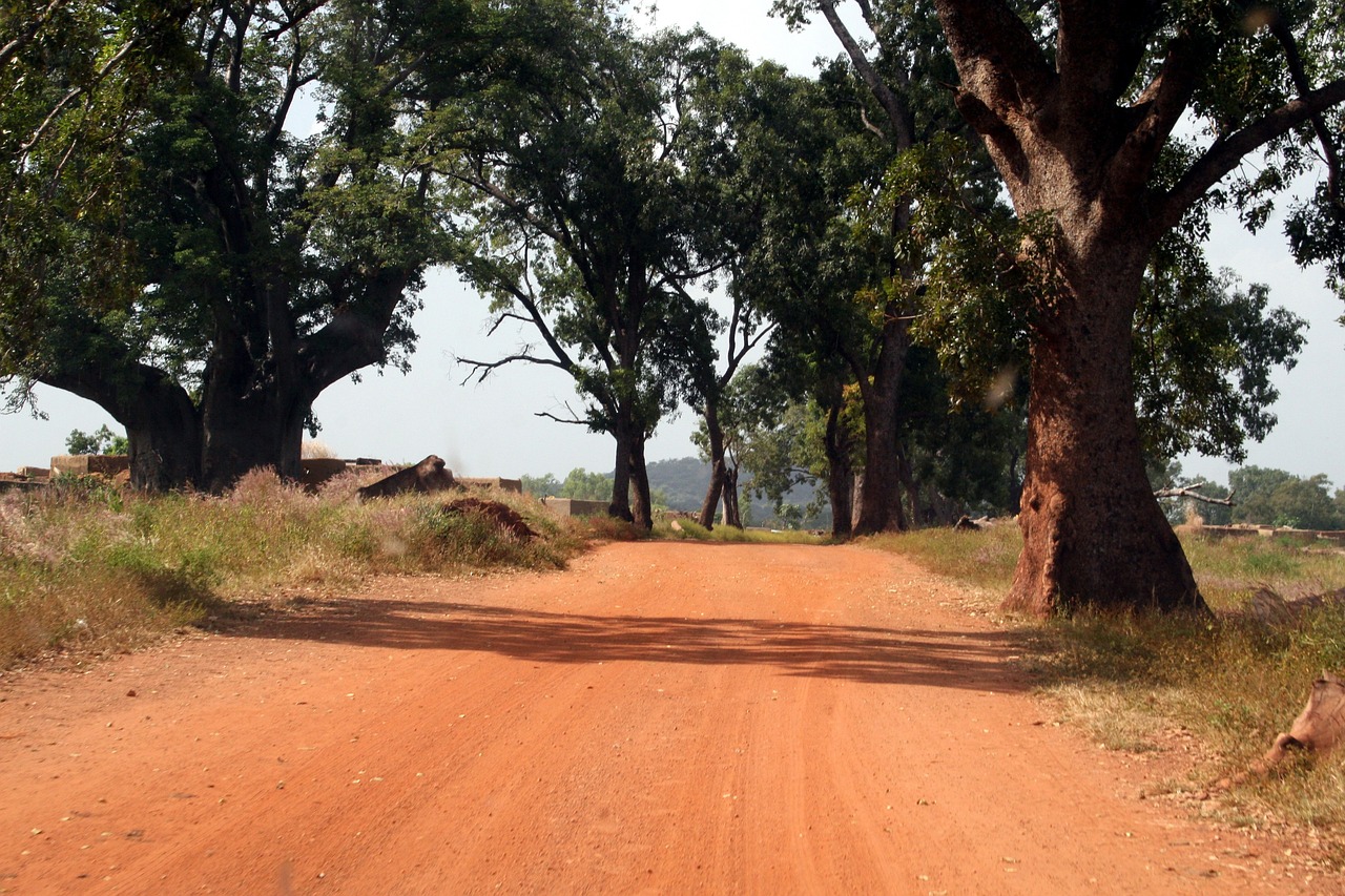 War on Extremism: Burkina Faso's Cultural Festival Amidst Conflict