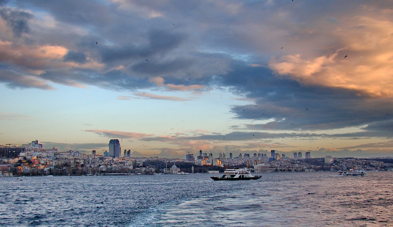 İstanbul Boğazı'nda Nadir Görülen Deri Sırtlı Deniz Kaplumbağası