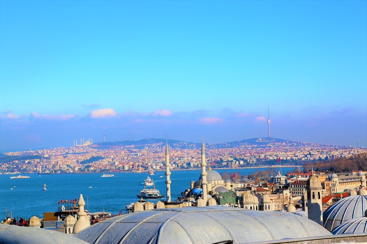 İstanbul Boğazı'nda Nadir Görülen Deri Sırtlı Deniz Kaplumbağası