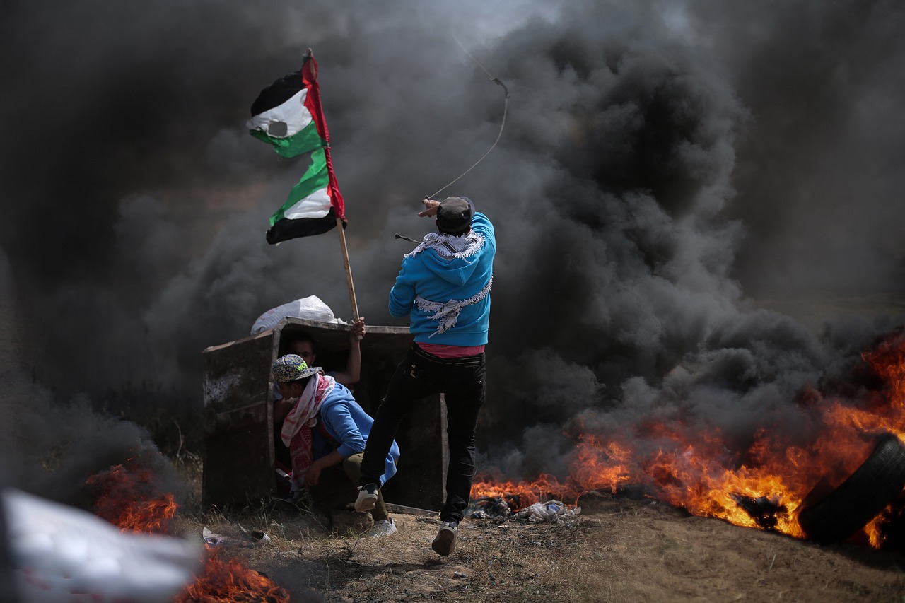 The Haunting Echoes of a Book Collection in Gaza