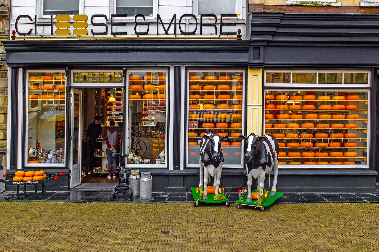 The Historic Cheese Market of Gouda: Tradition Meets Climate Challenges