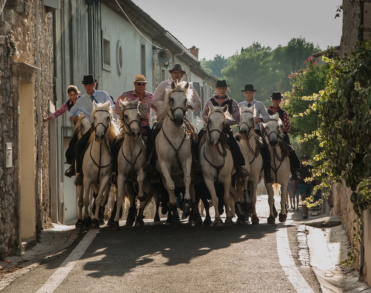 The Enchanting Camargue: A Symphony of Nature